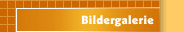 Bildergalerie